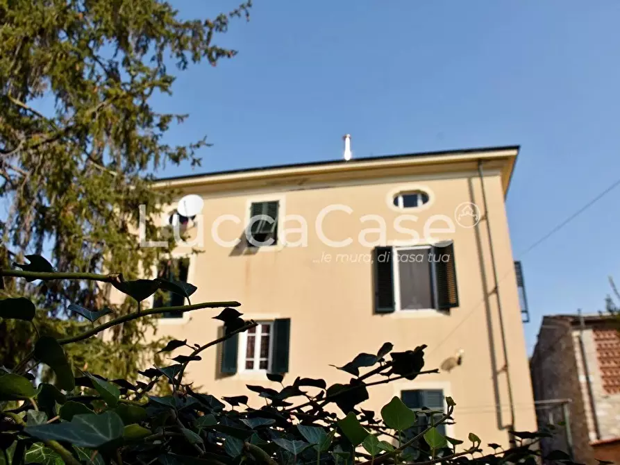 Immagine 19 di Villa in vendita  a Capannori