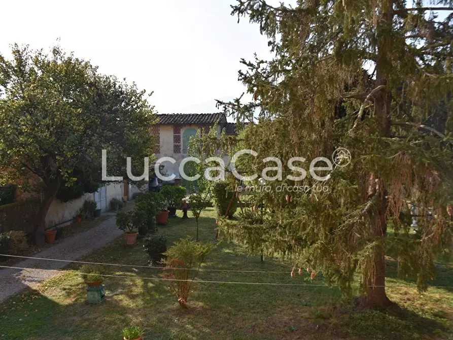 Immagine 16 di Villa in vendita  a Capannori