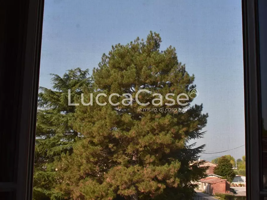 Immagine 12 di Villa in vendita  a Capannori