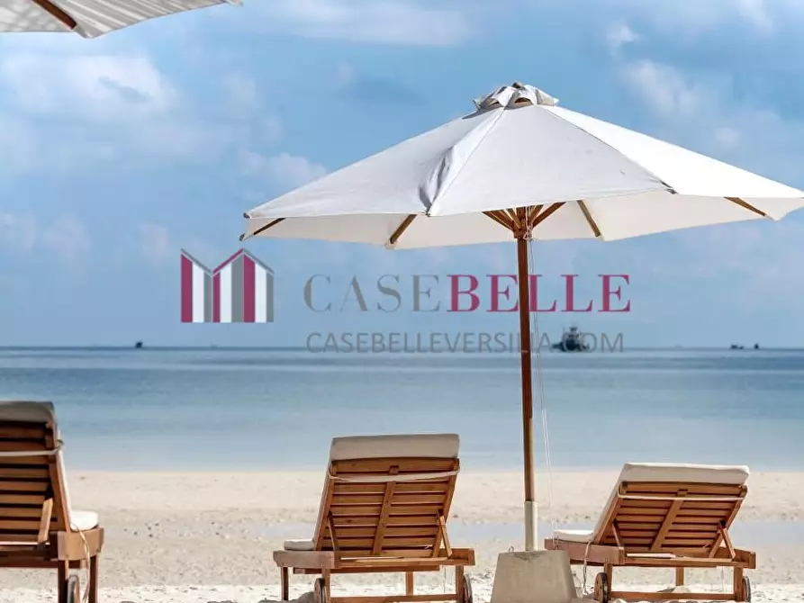 Immagine 1 di Attività commerciale in vendita  a Viareggio