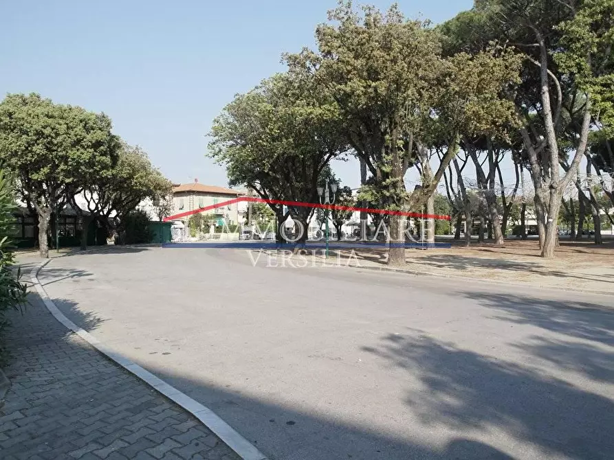 Immagine 30 di Villa in vendita  a Forte Dei Marmi