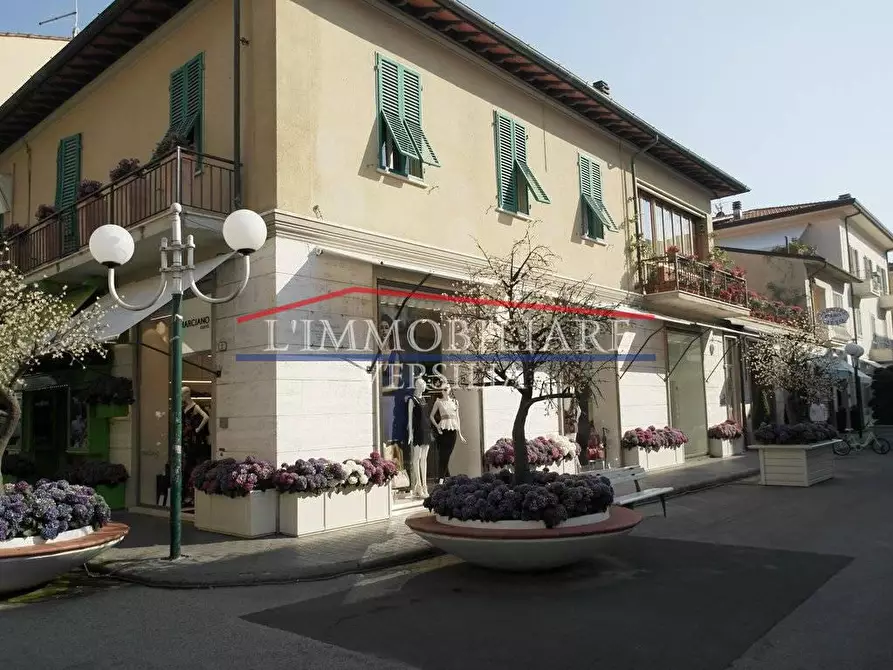 Immagine 29 di Villa in vendita  a Forte Dei Marmi