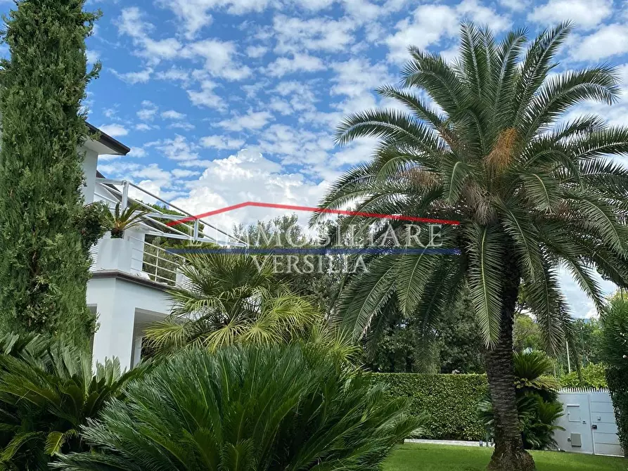 Immagine 18 di Villa in vendita  a Forte Dei Marmi