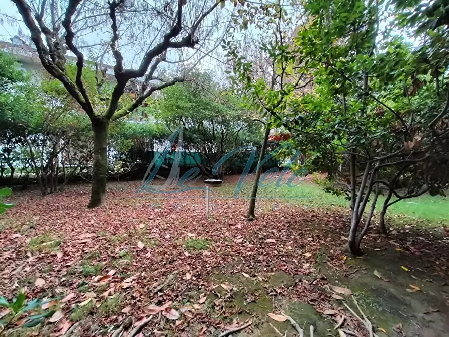 Immagine 2 di Appartamento in vendita  a Massa