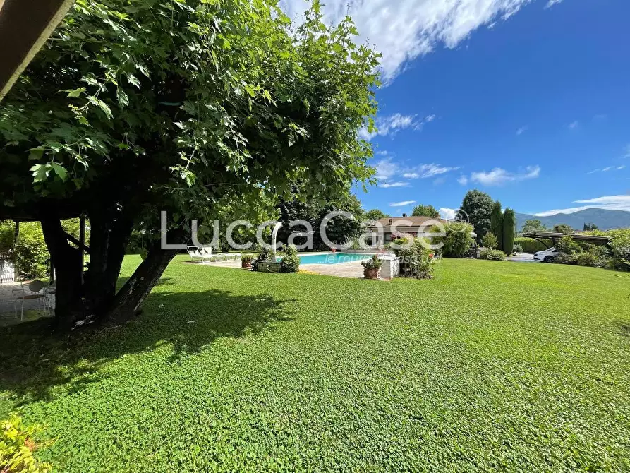 Immagine 4 di Villa in vendita  a Capannori