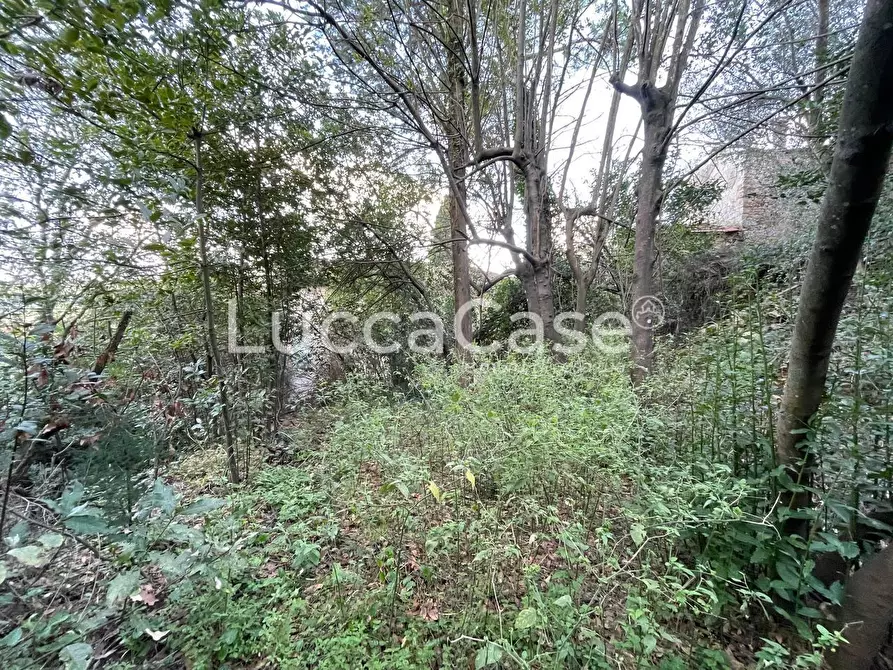 Immagine 21 di Casa indipendente in vendita  a Lucca