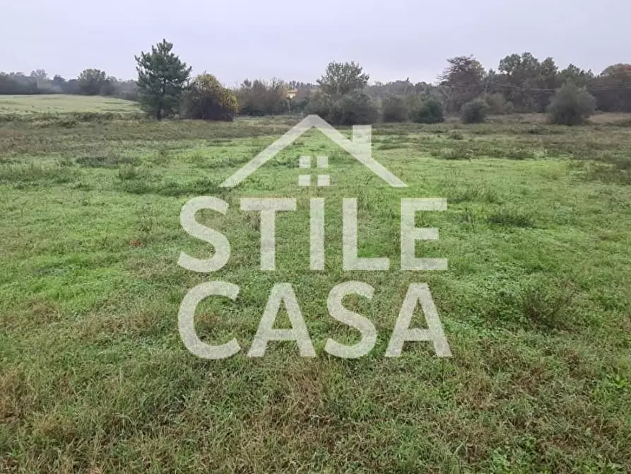 Immagine 2 di Terreno agricolo in vendita  a Castelfranco Di Sotto