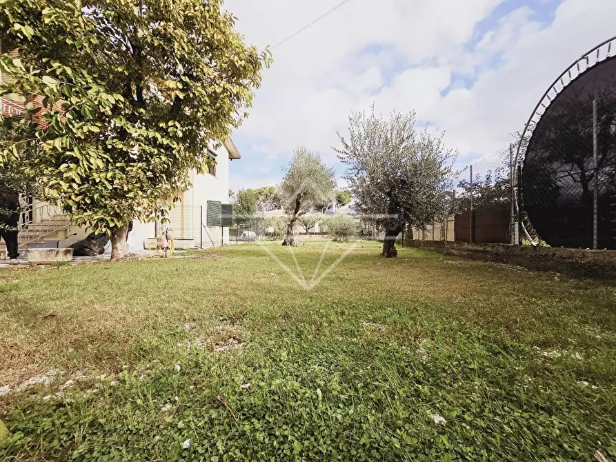 Immagine 34 di Appartamento in vendita  a Massa