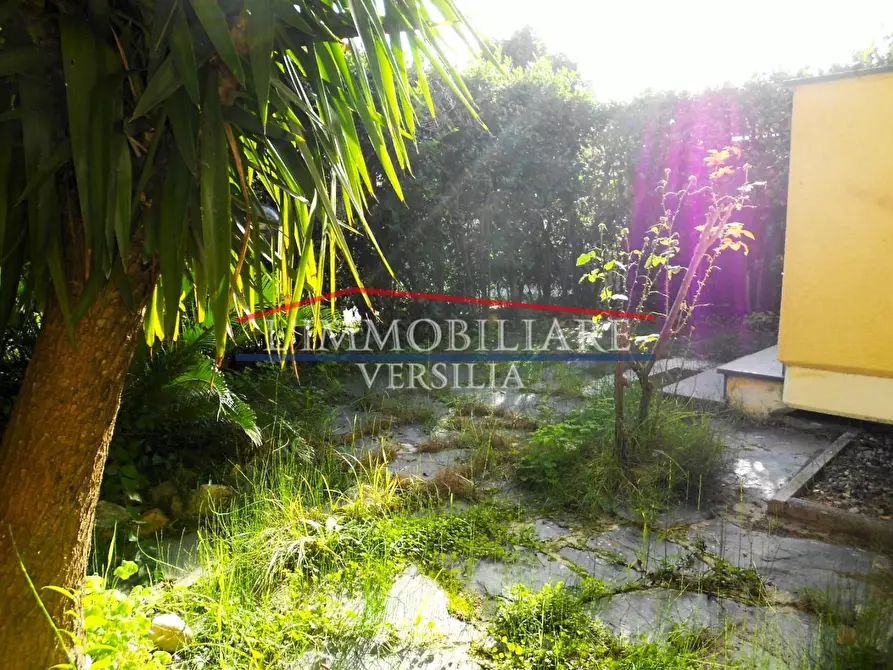 Immagine 4 di Appartamento in vendita  a Massa