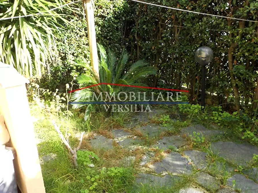 Immagine 6 di Appartamento in vendita  a Massa