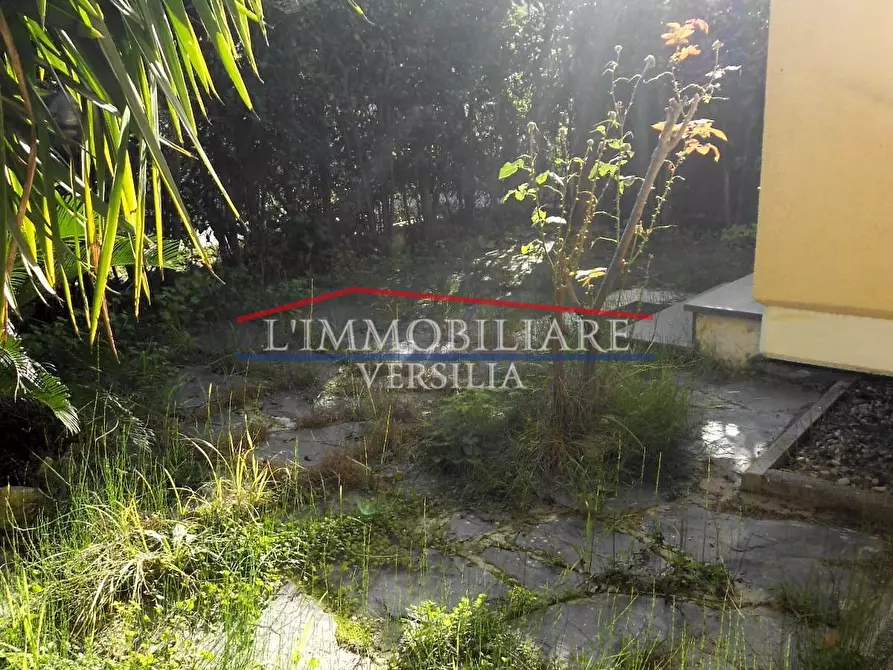 Immagine 2 di Appartamento in vendita  a Massa