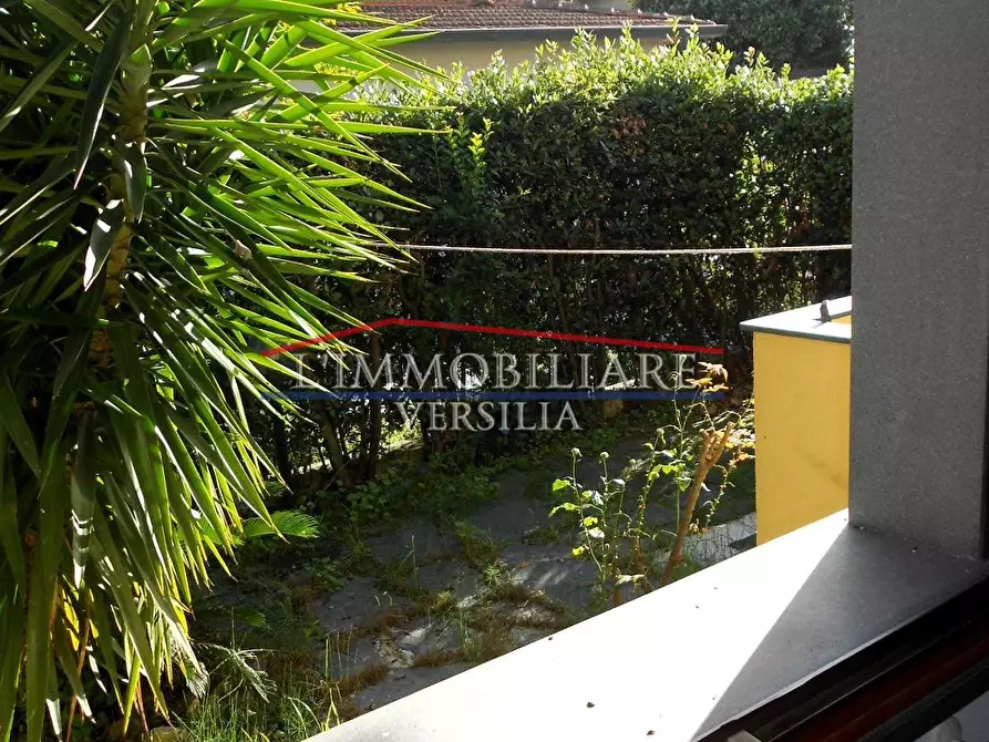 Immagine 33 di Appartamento in vendita  a Massa