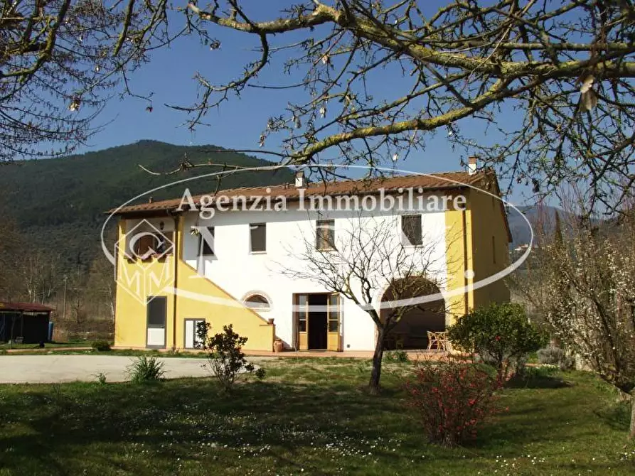 Immagine 1 di Agriturismo in vendita  a Buti