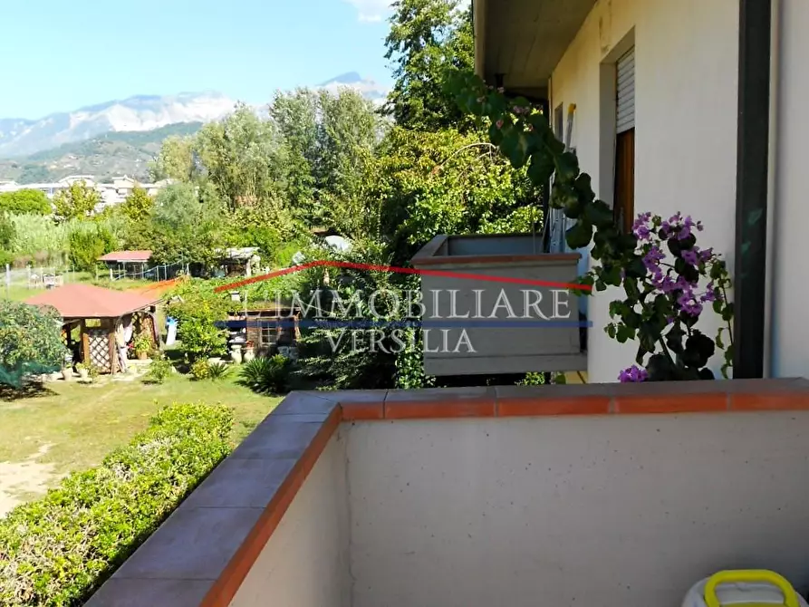 Immagine 7 di Casa bifamiliare in vendita  a Massa