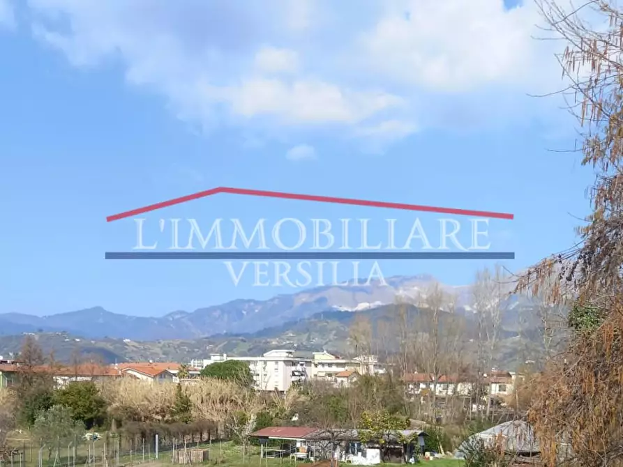 Immagine 44 di Casa bifamiliare in vendita  a Massa