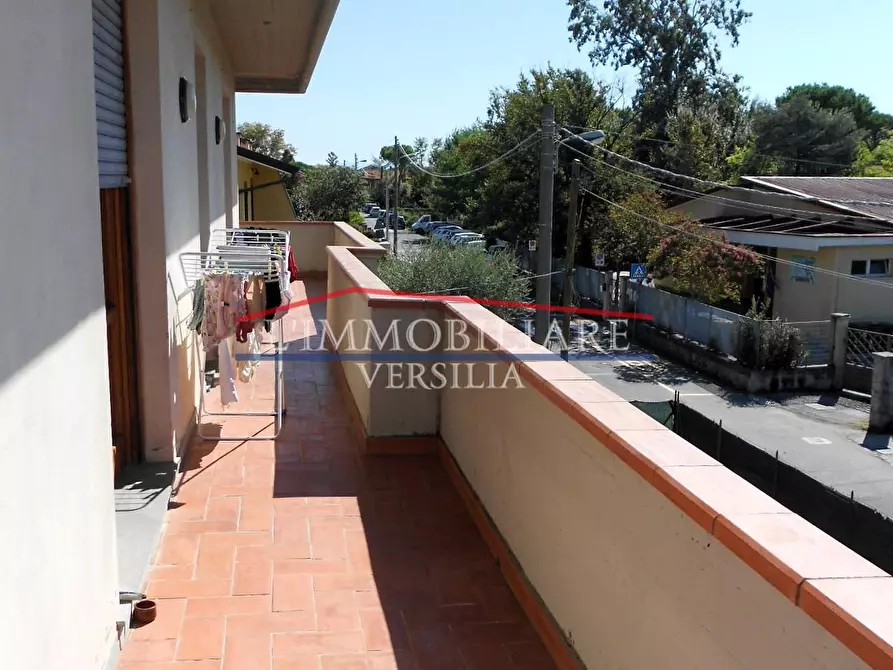 Immagine 4 di Casa bifamiliare in vendita  a Massa