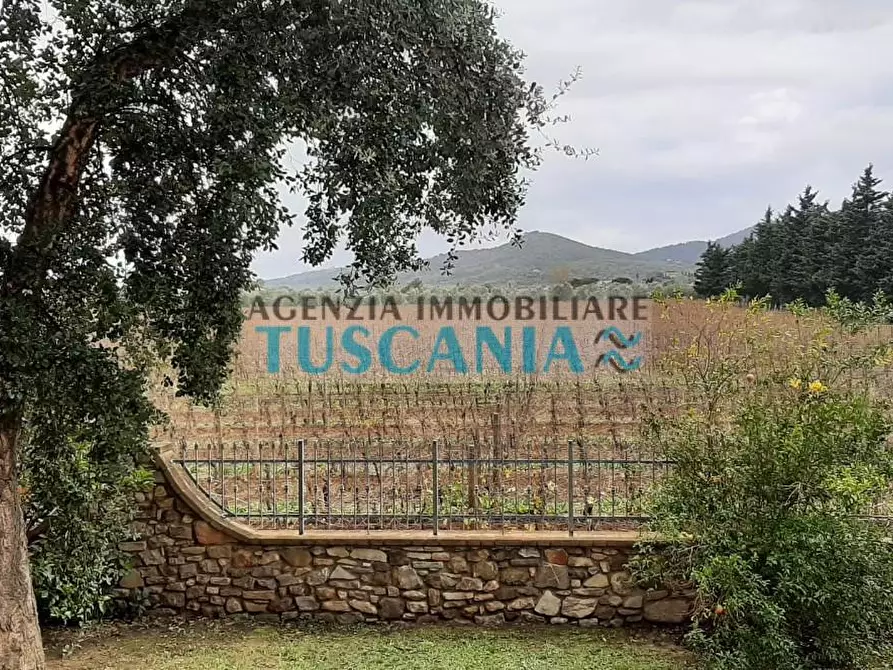 Immagine 20 di Villa in vendita  a Suvereto
