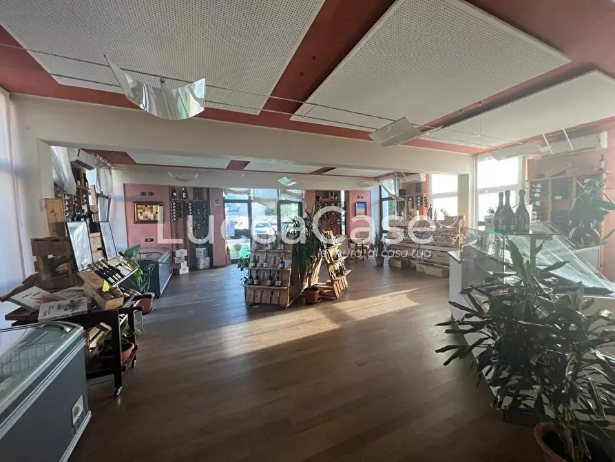 Immagine 8 di Locale commerciale in affitto  a Capannori