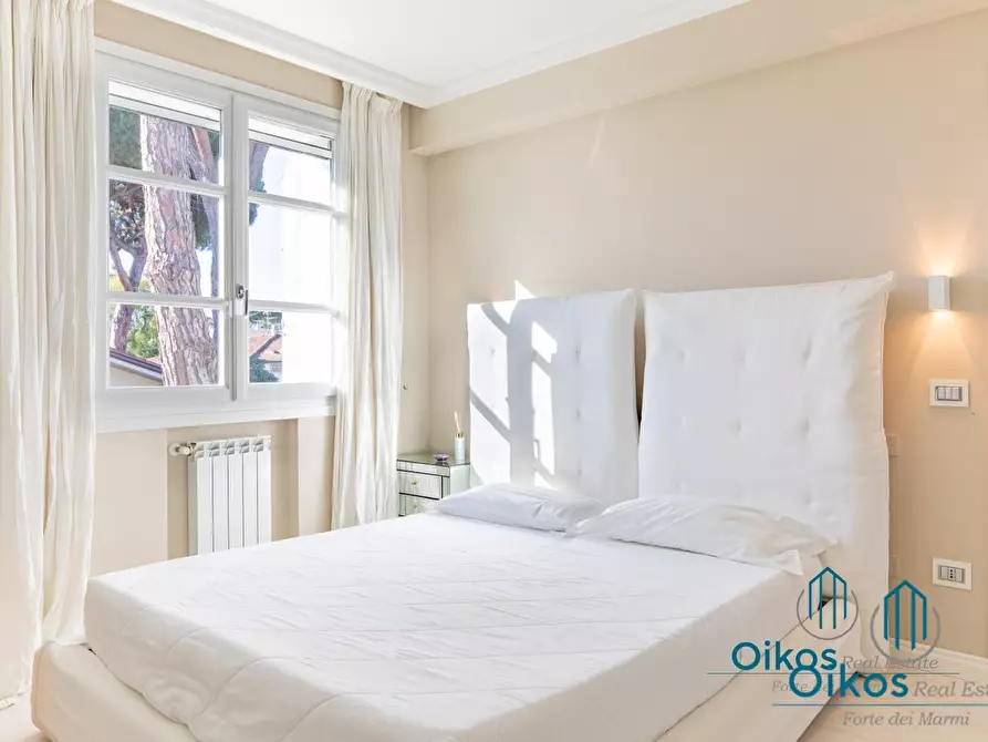 Immagine 44 di Villa in affitto  a Forte Dei Marmi