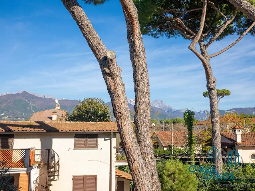 Immagine 65 di Villa in affitto  a Forte Dei Marmi