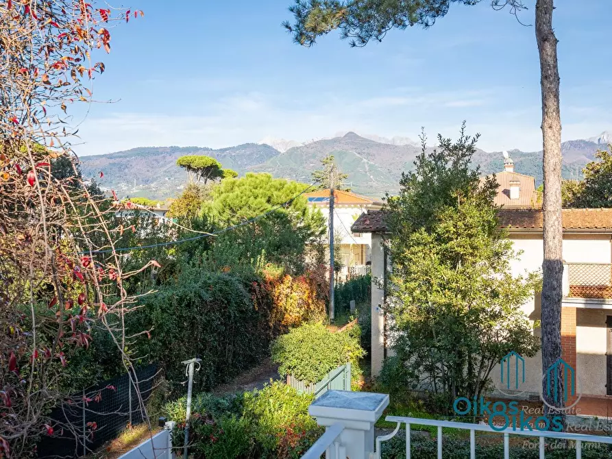 Immagine 20 di Villa in affitto  a Forte Dei Marmi