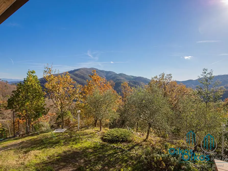 Immagine 25 di Villa in vendita  a Monterosso Al Mare