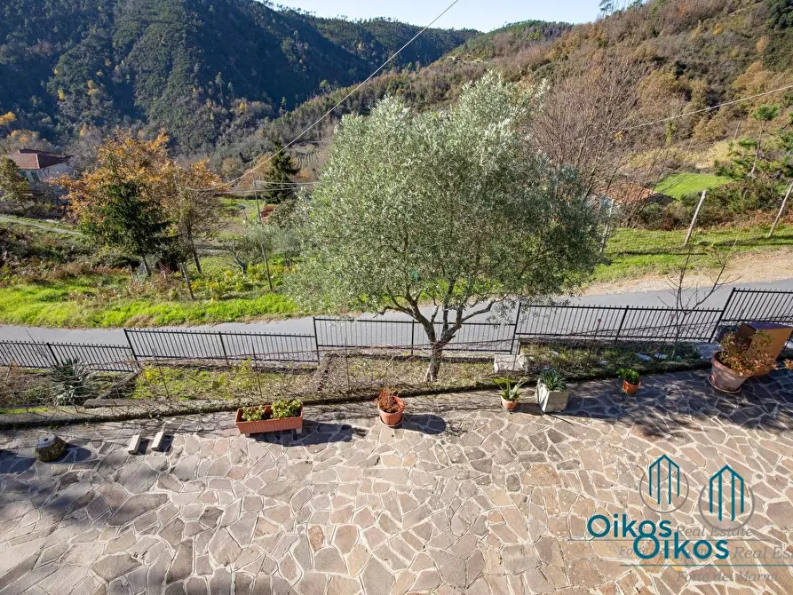 Immagine 40 di Villa in vendita  a Monterosso Al Mare