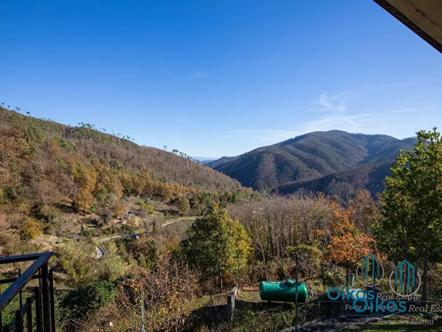Immagine 74 di Villa in vendita  a Monterosso Al Mare