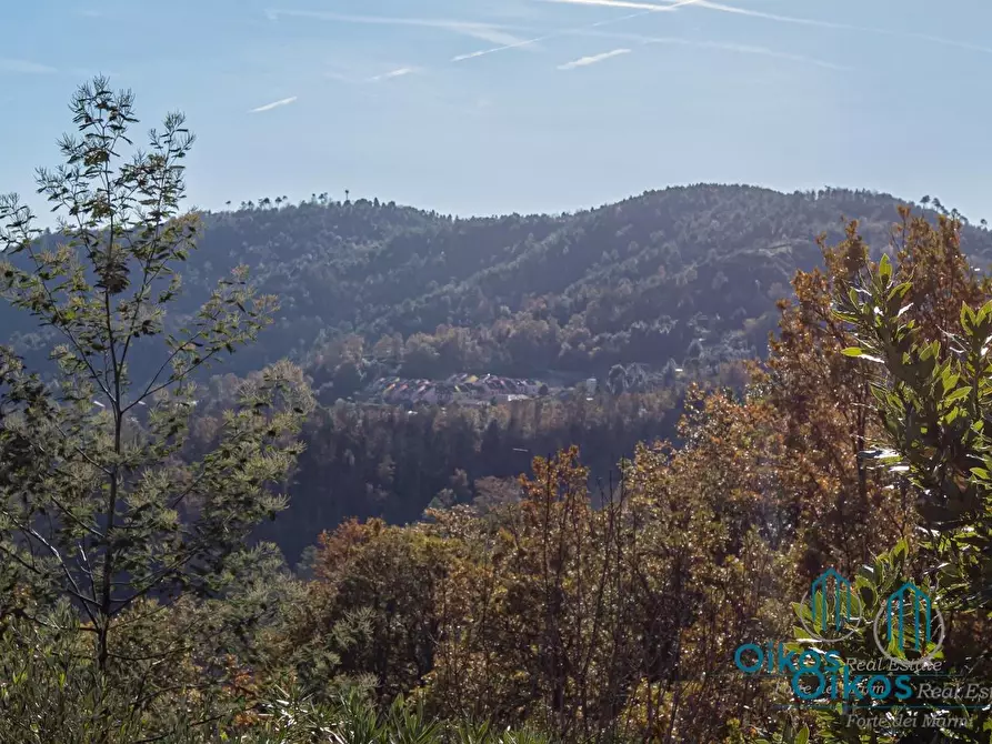 Immagine 88 di Villa in vendita  a Monterosso Al Mare