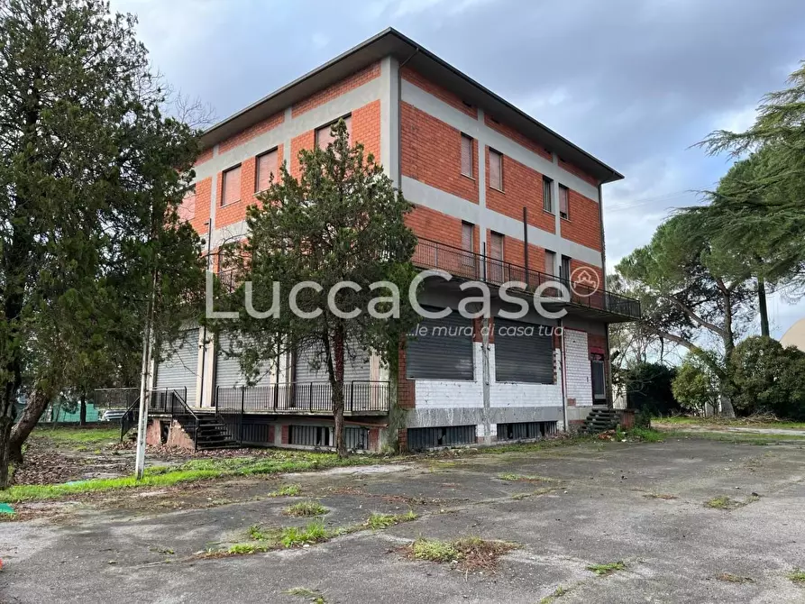 Immagine 8 di Albergo/B&B/Residence in vendita  a Porcari