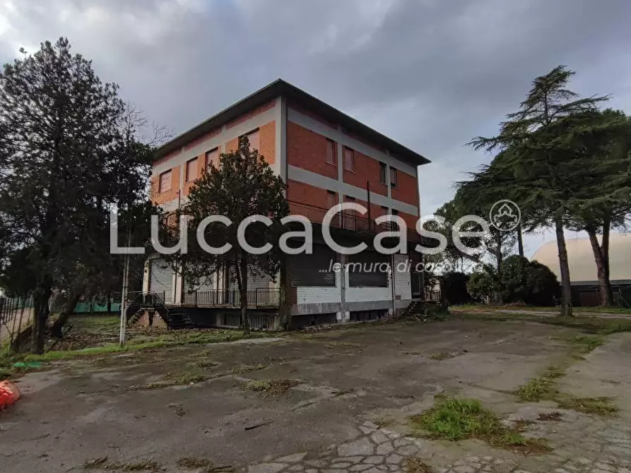 Immagine 28 di Albergo/B&B/Residence in vendita  a Porcari