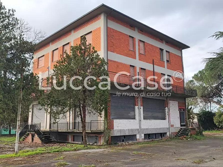 Immagine 27 di Albergo/B&B/Residence in vendita  a Porcari