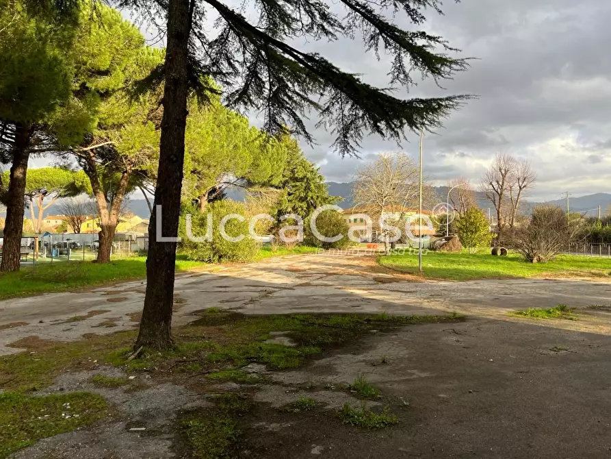 Immagine 11 di Albergo/B&B/Residence in vendita  a Porcari