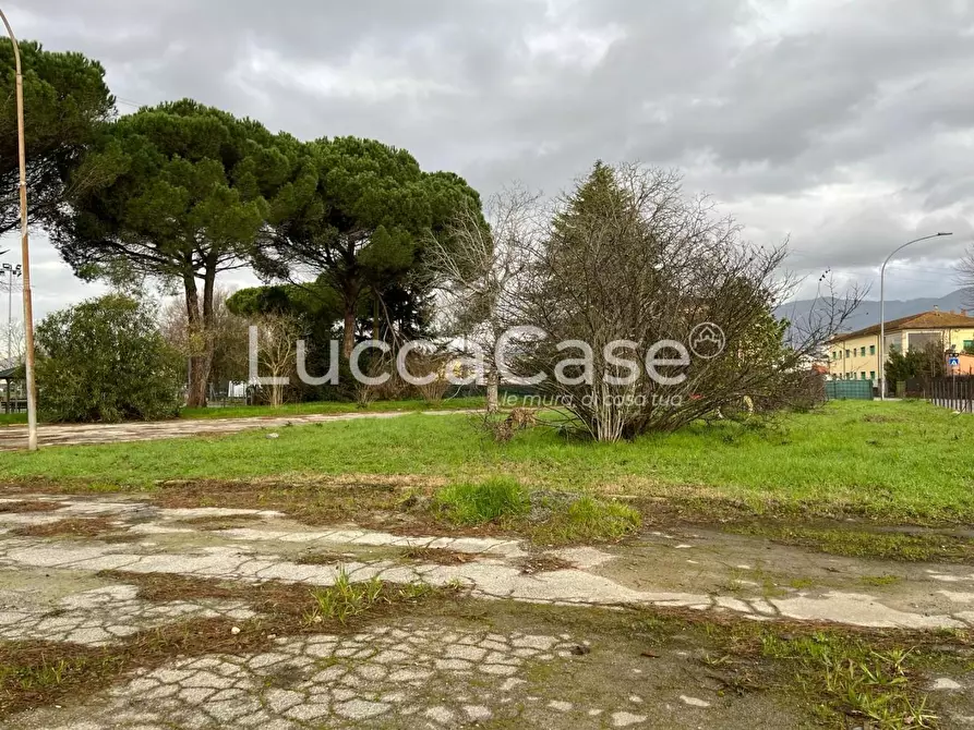 Immagine 6 di Albergo/B&B/Residence in vendita  a Porcari