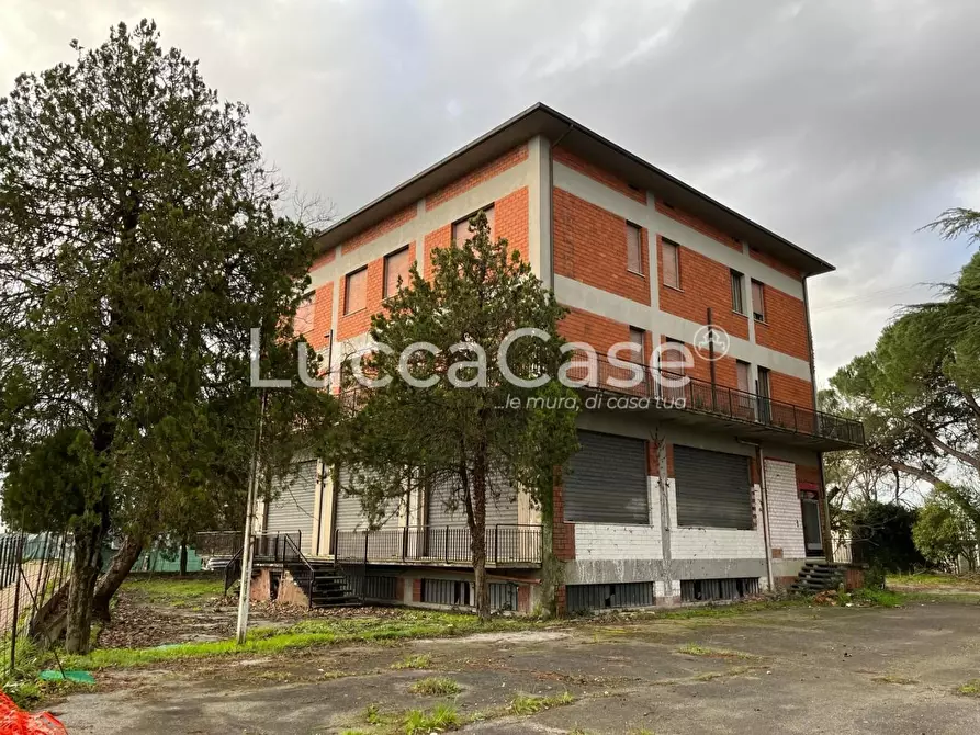 Immagine 7 di Albergo/B&B/Residence in vendita  a Porcari