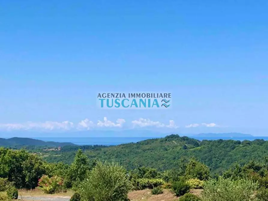 Immagine 17 di Casa colonica in vendita  a Monteverdi Marittimo