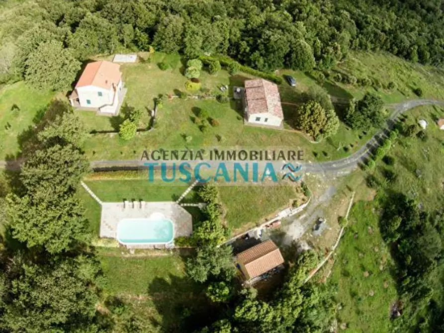 Immagine 21 di Casa colonica in vendita  a Monteverdi Marittimo