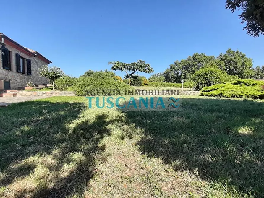 Immagine 38 di Casa colonica in vendita  a Monteverdi Marittimo