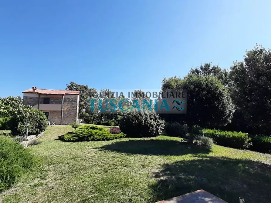 Immagine 37 di Casa colonica in vendita  a Monteverdi Marittimo