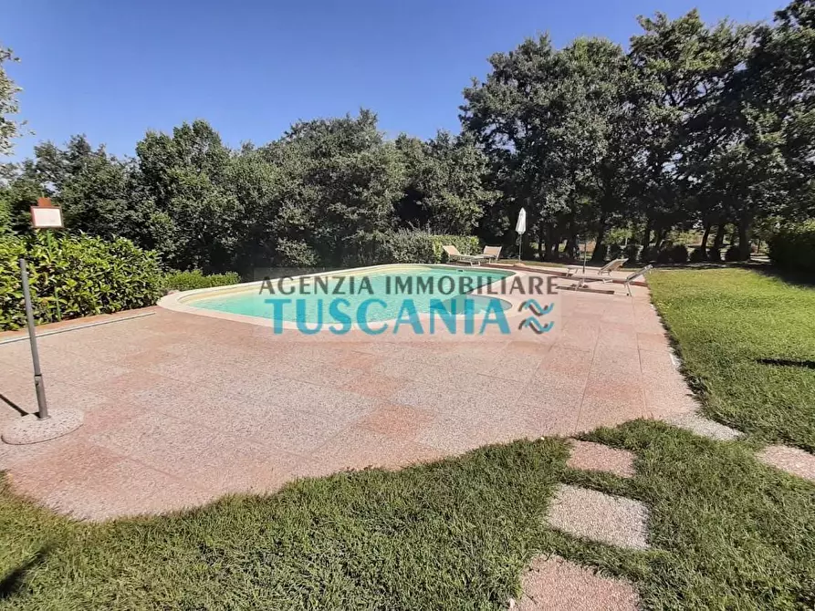 Immagine 46 di Casa colonica in vendita  a Monteverdi Marittimo
