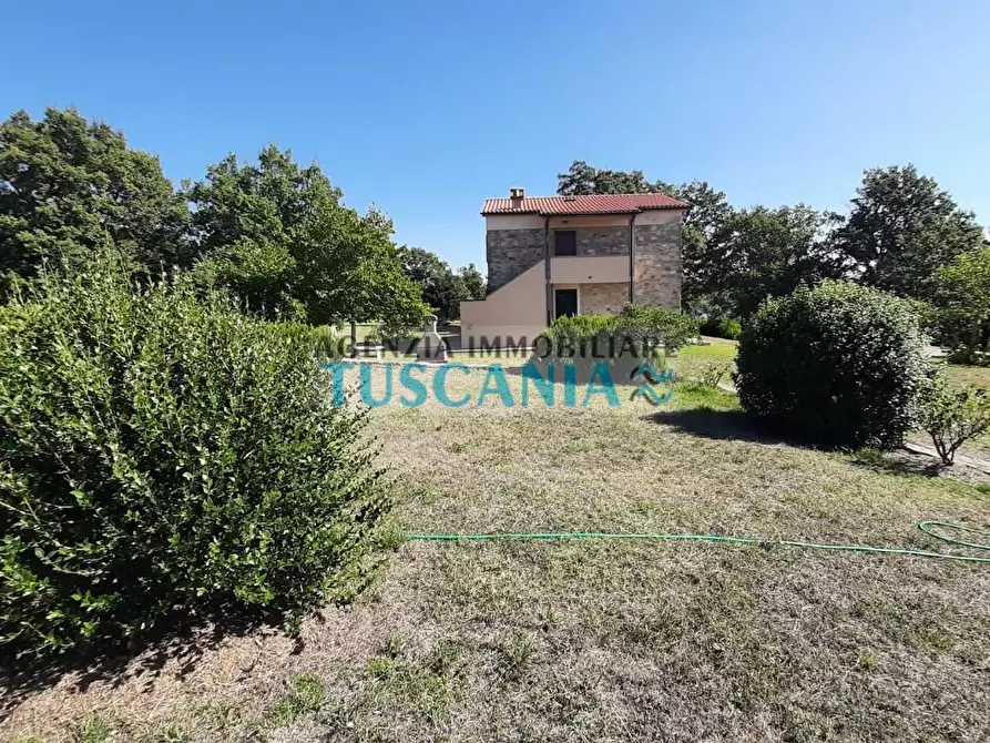 Immagine 30 di Casa colonica in vendita  a Monteverdi Marittimo