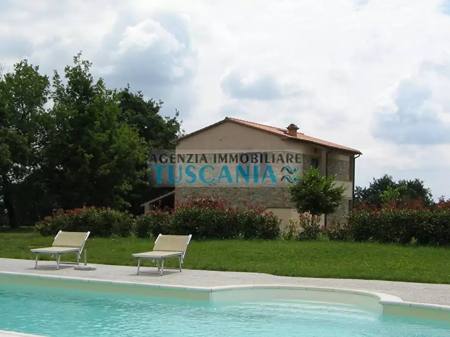 Immagine 8 di Casa colonica in vendita  a Monteverdi Marittimo
