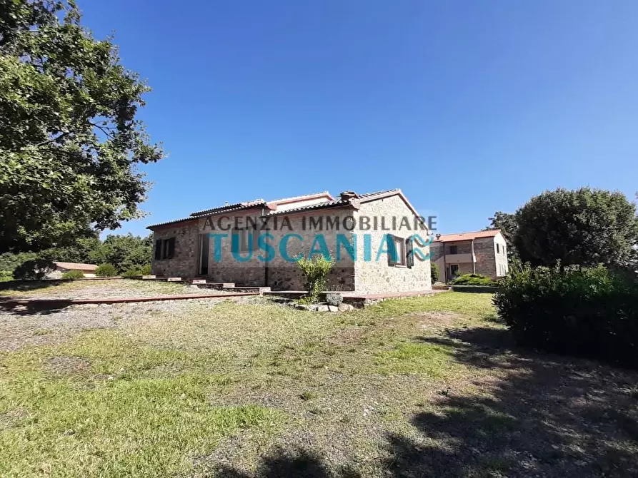 Immagine 42 di Casa colonica in vendita  a Monteverdi Marittimo
