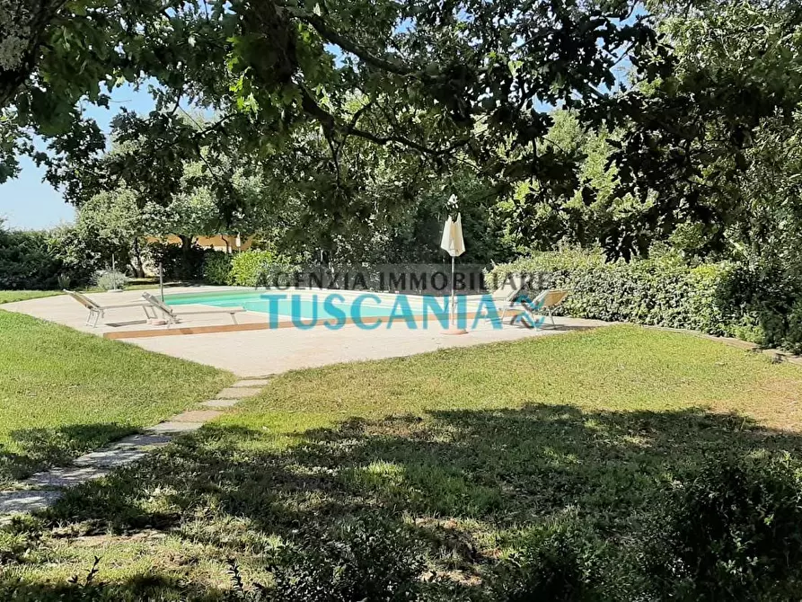 Immagine 23 di Casa colonica in vendita  a Monteverdi Marittimo