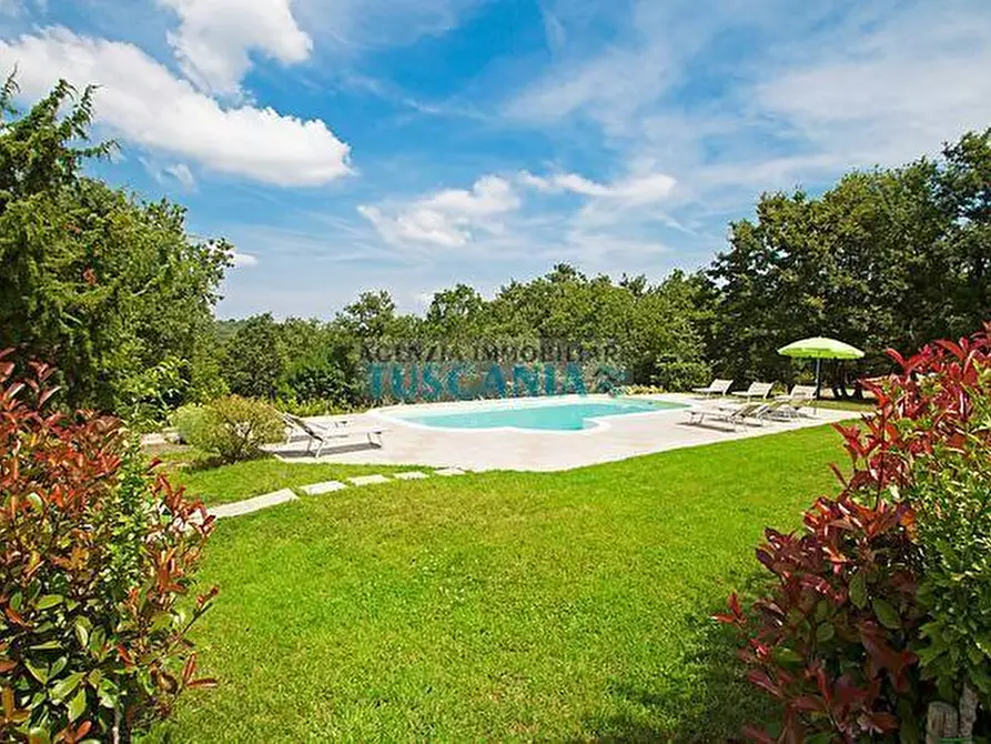 Immagine 13 di Casa colonica in vendita  a Monteverdi Marittimo