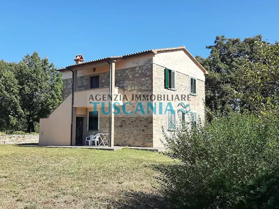 Immagine 27 di Casa colonica in vendita  a Monteverdi Marittimo