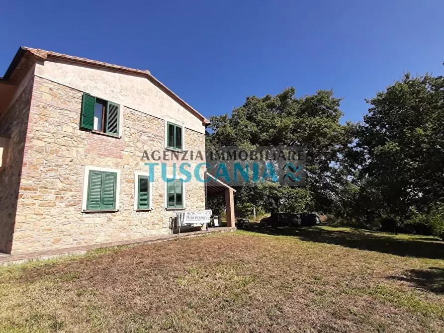 Immagine 45 di Casa colonica in vendita  a Monteverdi Marittimo