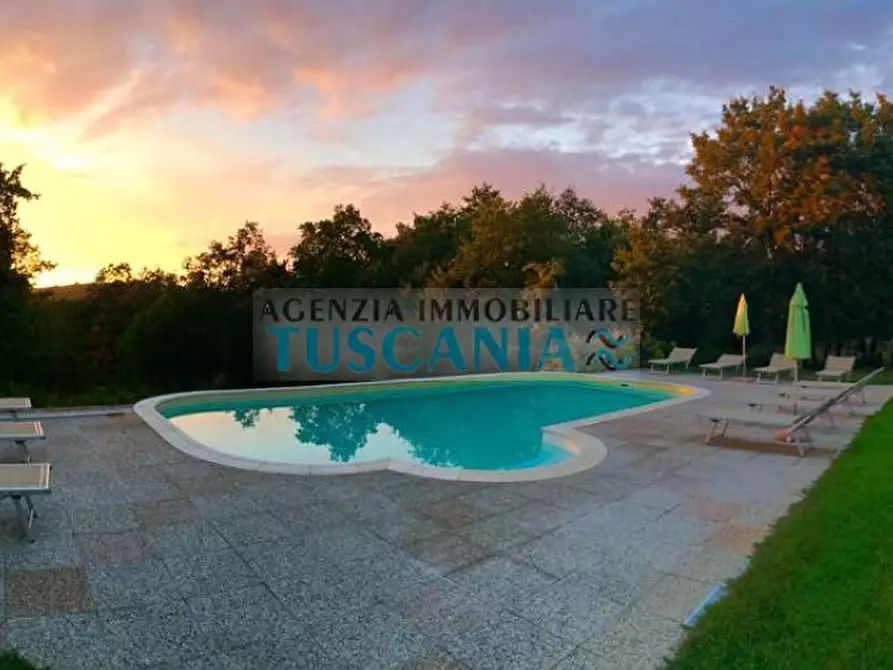 Immagine 4 di Casa colonica in vendita  a Monteverdi Marittimo