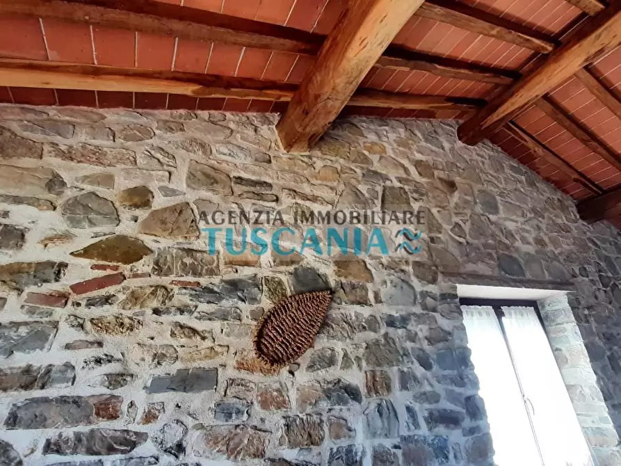 Immagine 40 di Casa colonica in vendita  a Monteverdi Marittimo