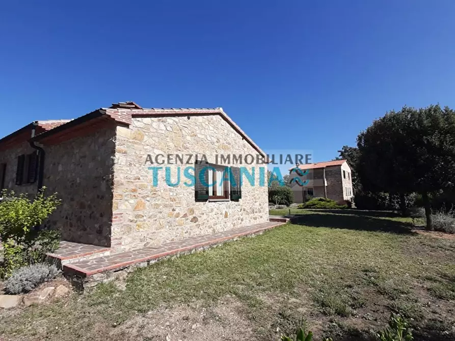 Immagine 34 di Casa colonica in vendita  a Monteverdi Marittimo